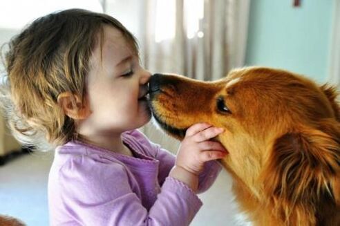 inféksi cacing ti anjing